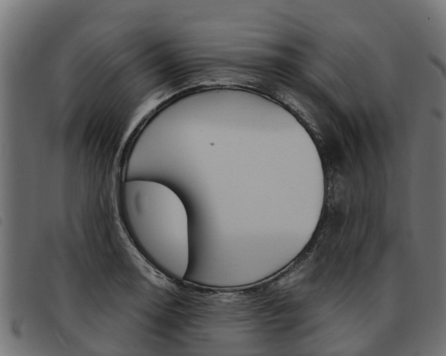 X0000093591130200710151012