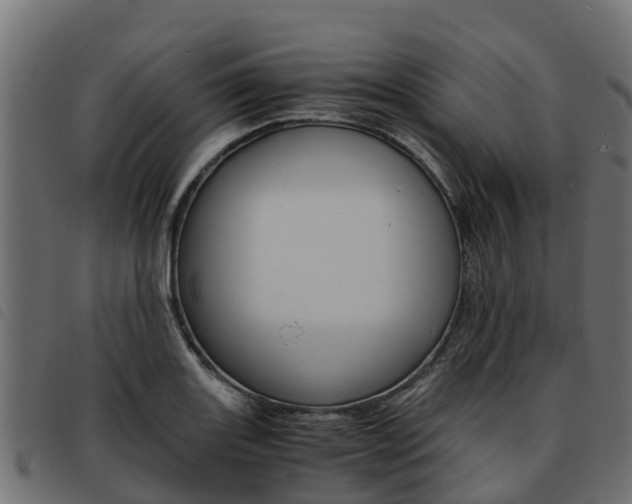 X0000093591131200710151012