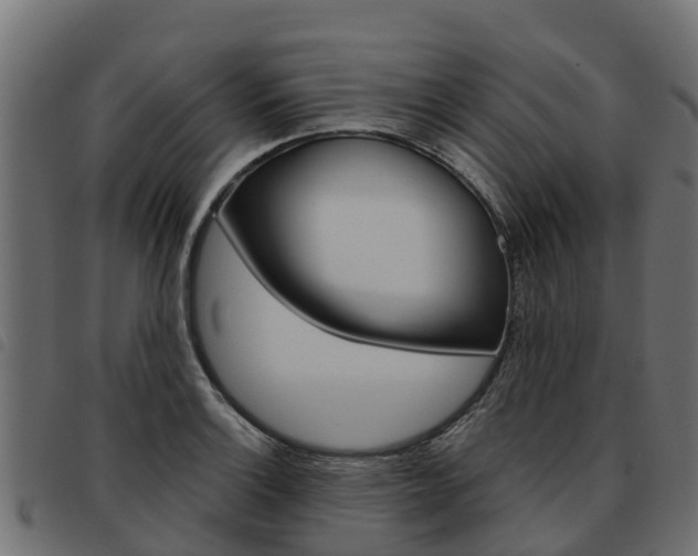 X0000093591132200710151012