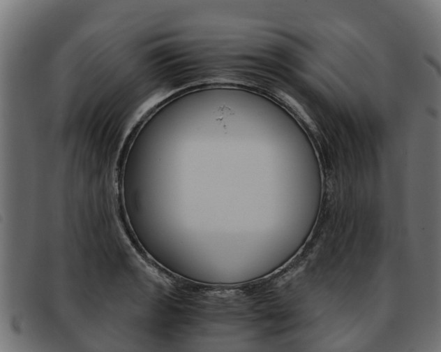 X0000093591133200710151012
