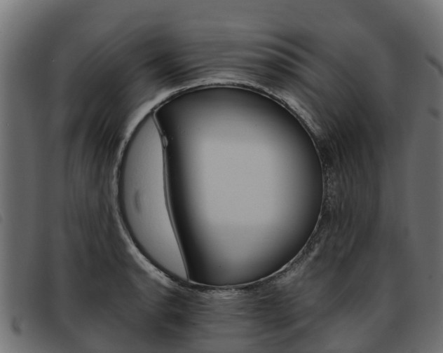 X0000093591134200710151012