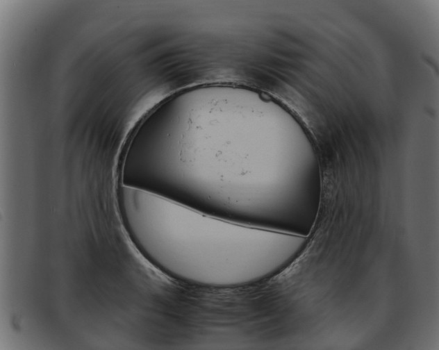 X0000093591135200710151012