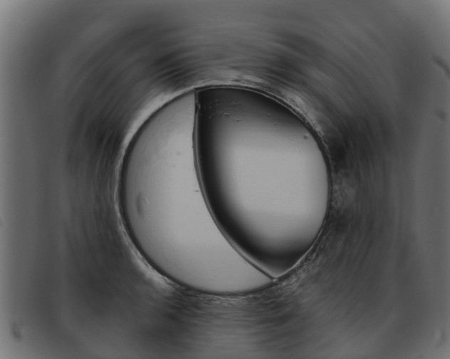 X0000093591136200710151012