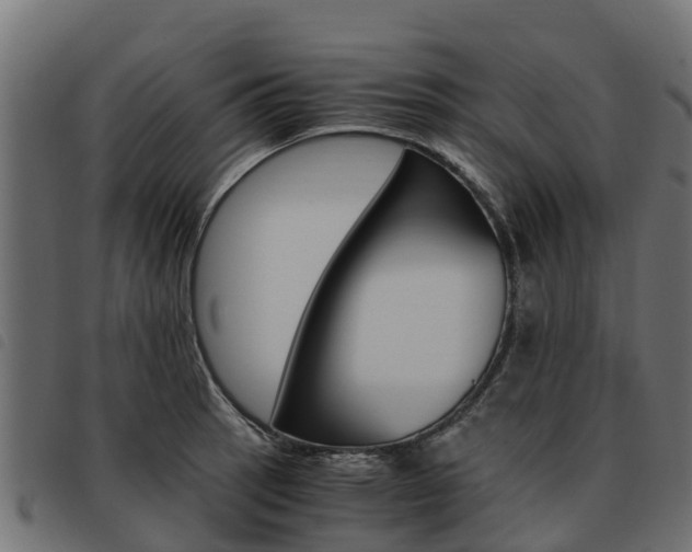 X0000093591137200710151012
