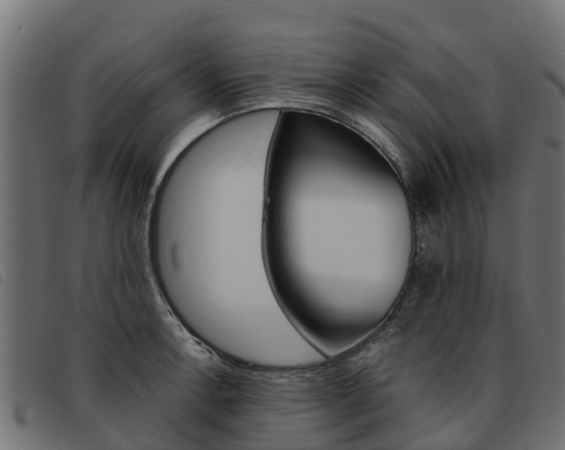 X0000093591138200710151012