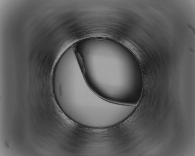 X0000093591140200710151012