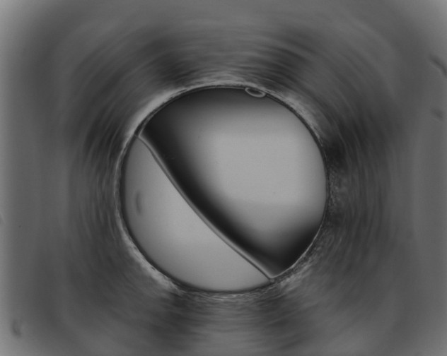 X0000093591142200710151012