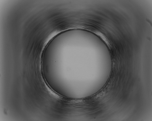 X0000093591143200710151012