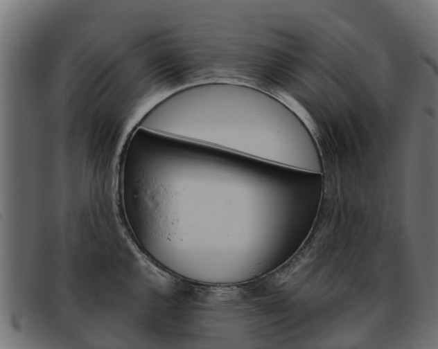 X0000093591144200710151012