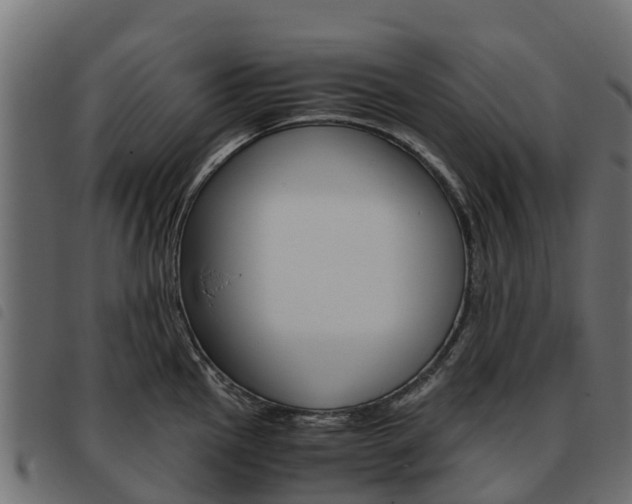 X0000093591145200710151012