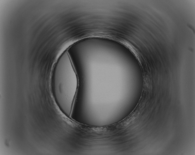X0000093591147200710151012