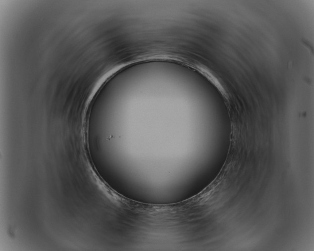 X0000093591148200710151012