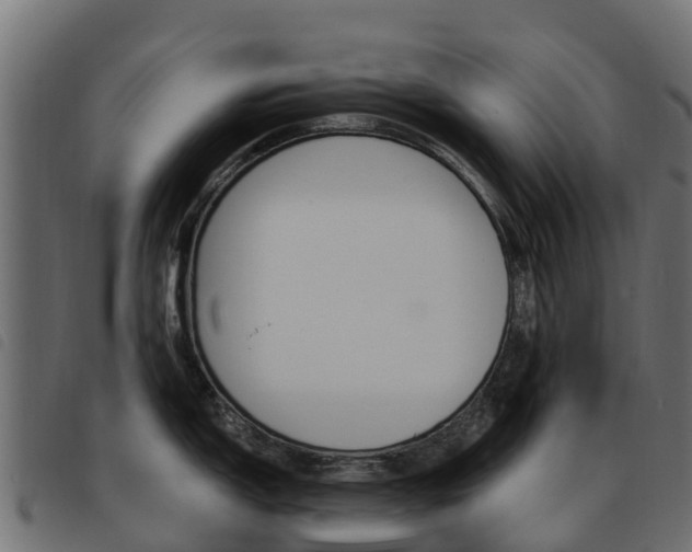 X0000093591150200710151012