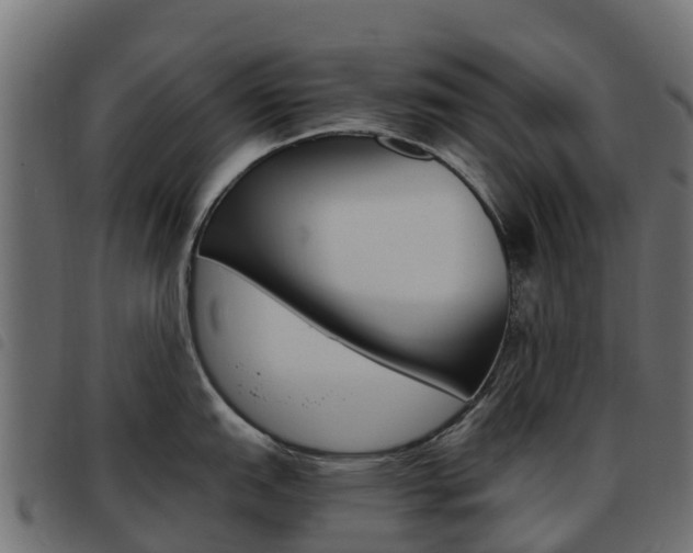 X0000093591151200710151012
