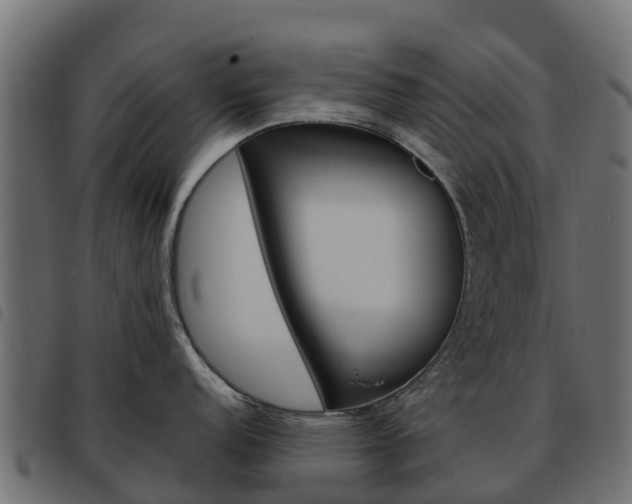 X0000093591152200710151012