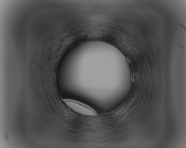 X0000093591153200710151012