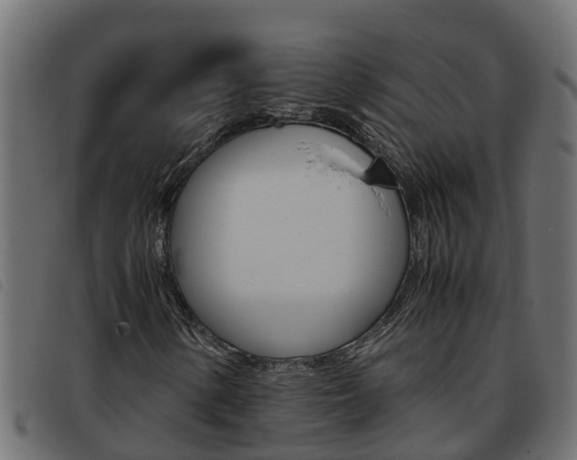 X0000093591154200710151012