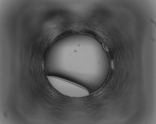 X0000093591155200710151012