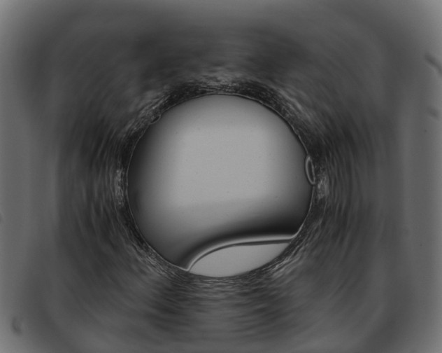 X0000093591156200710151012