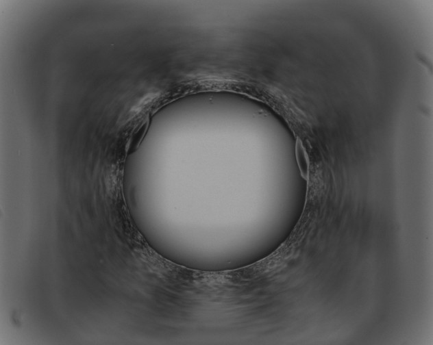 X0000093591157200710151012