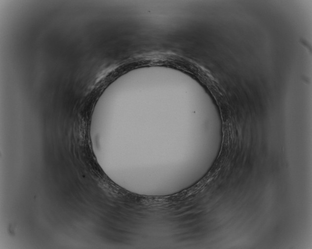 X0000093591158200710151012