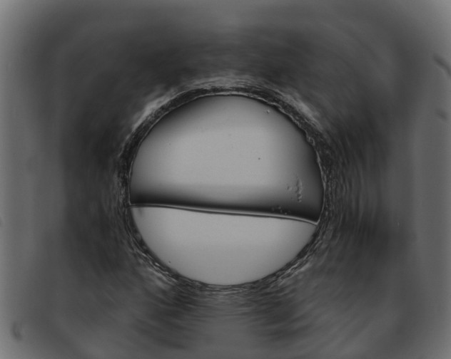 X0000093591160200710151012