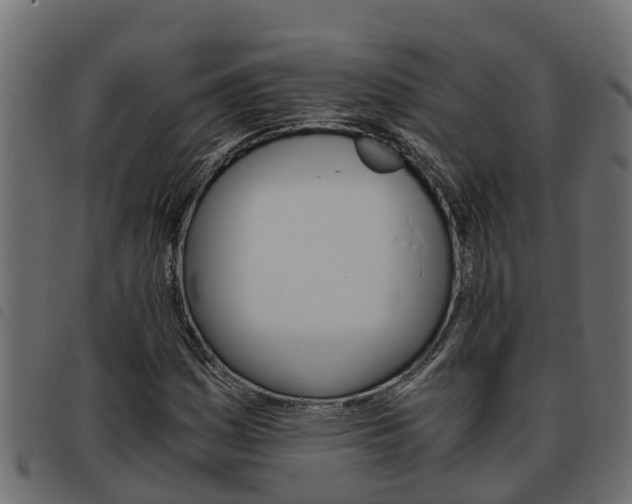X0000093591161200710151012