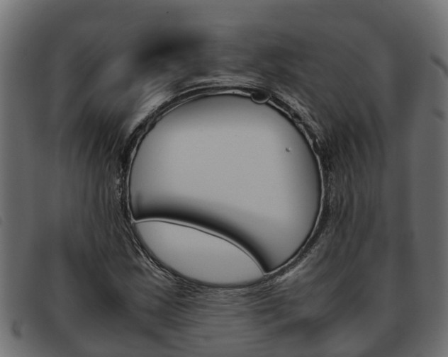 X0000093591163200710151012