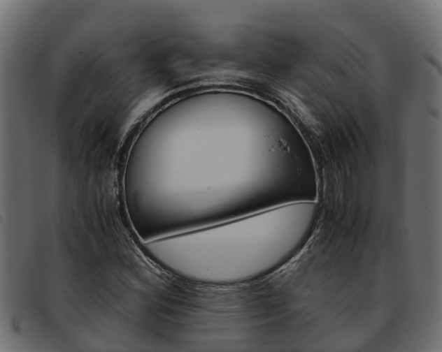 X0000093591164200710151011