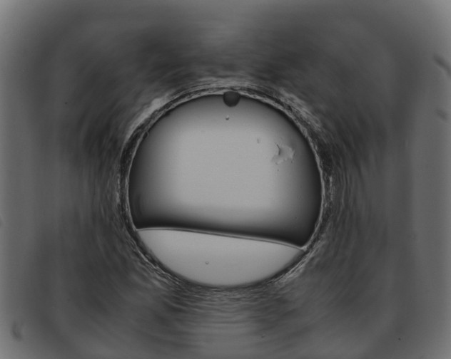 X0000093591165200710151011