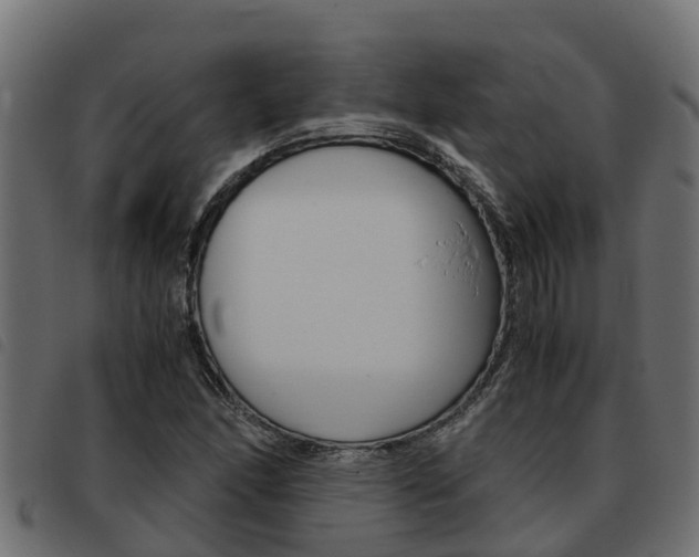 X0000093591166200710151011