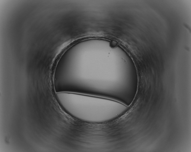 X0000093591168200710151011