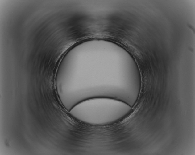 X0000093591170200710151011