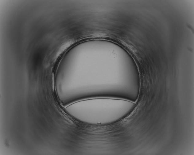 X0000093591171200710151011