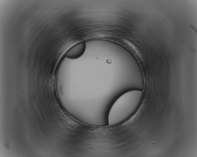 X0000093591178200710151011