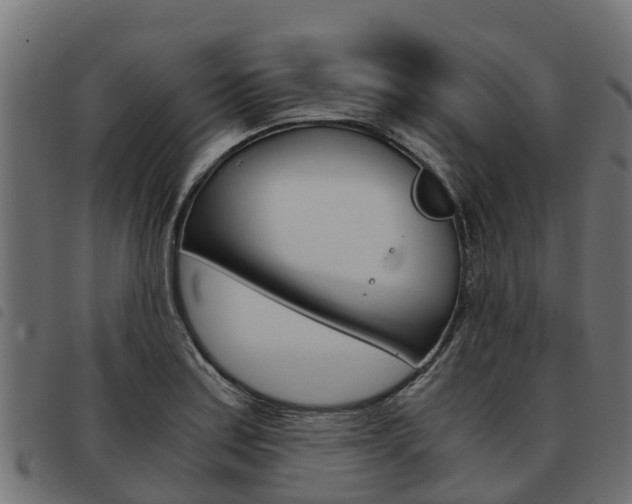 X0000093591179200710151011