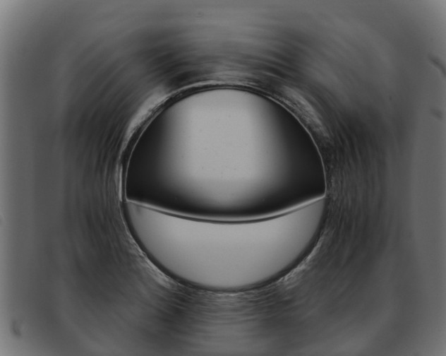 X0000093591180200710151011