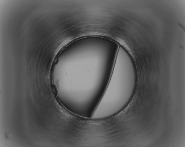 X0000093591181200710151011