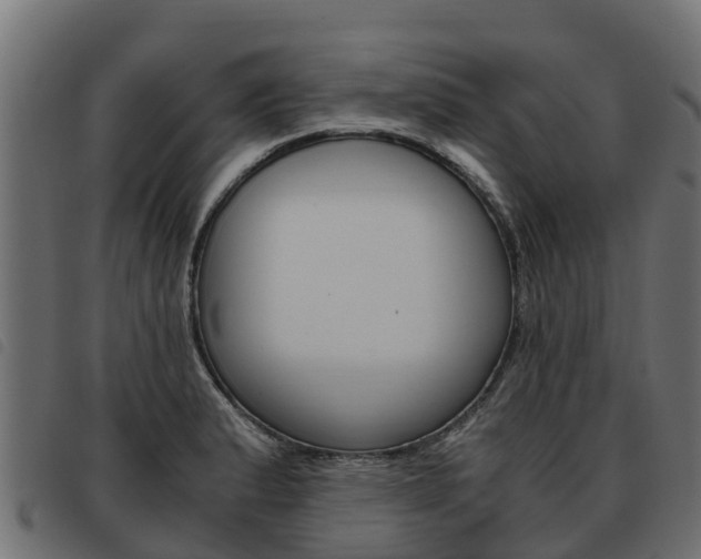X0000093591183200710151011