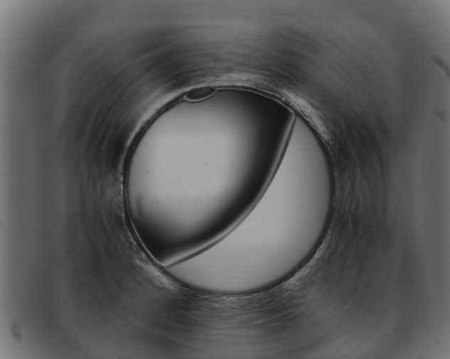 X0000093591184200710151011