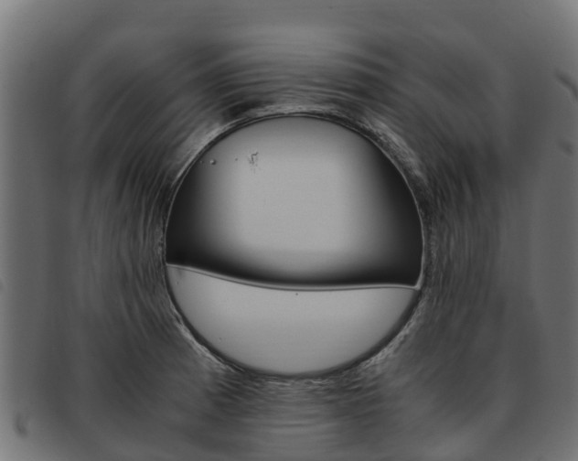 X0000093591185200710151011