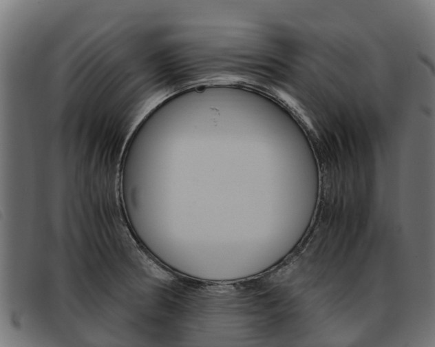 X0000093591186200710151011