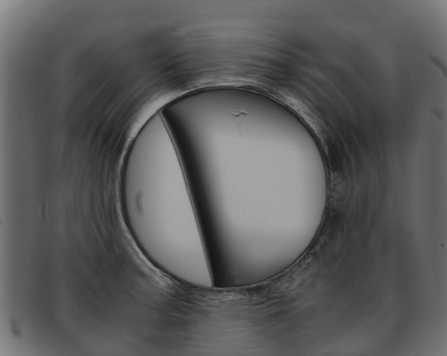 X0000093591187200710151011