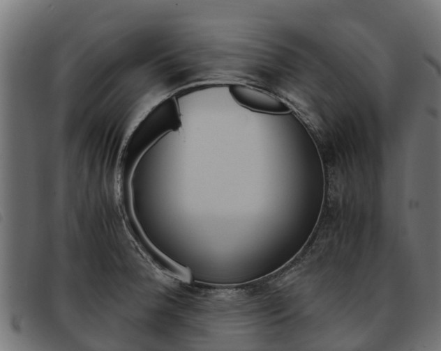 X0000093591188200710151011