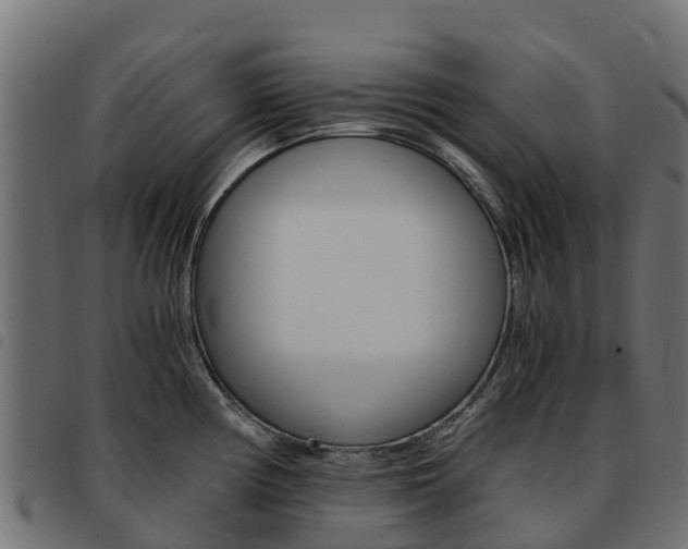 X0000093591194200710151011