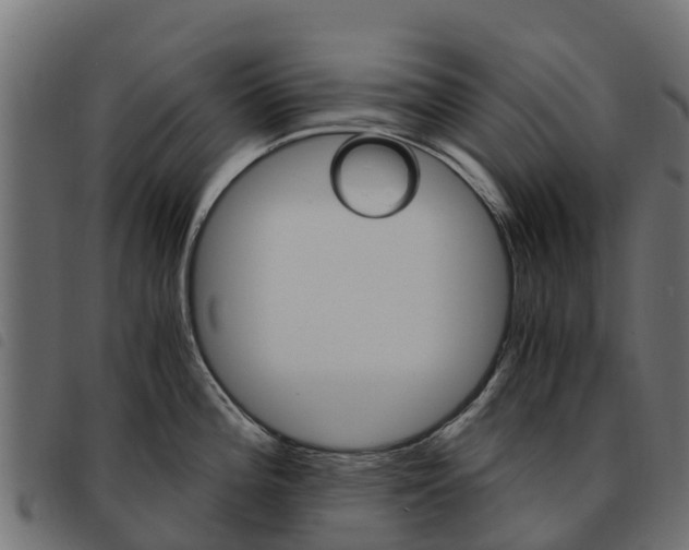 X0000093591196200710151011
