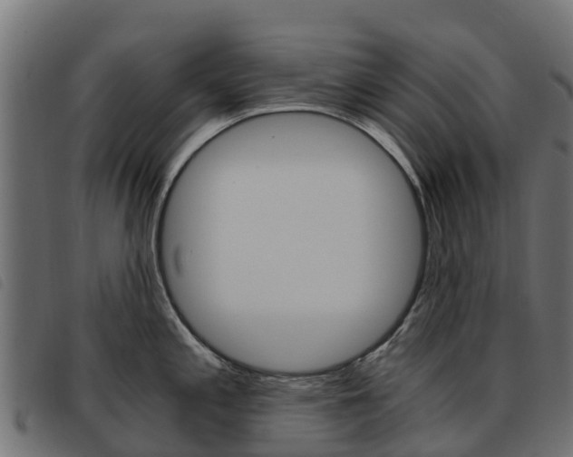 X0000093591197200710151011