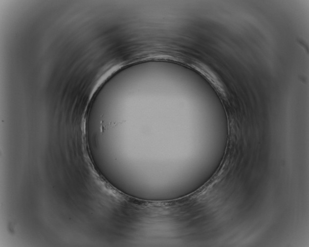 X0000093591198200710151011