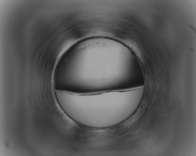 X0000093591199200710151011