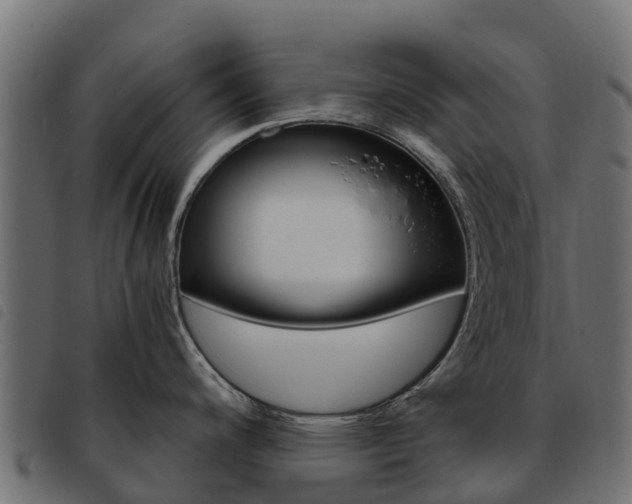X0000093591200200710151011